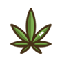 weed sativa image