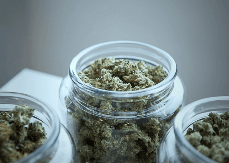 cannabis image