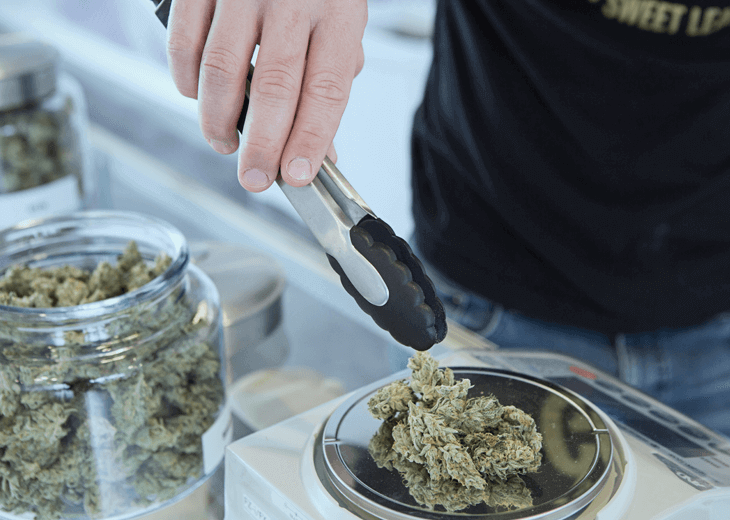 cannabis image